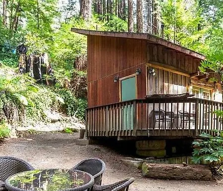 Lofted Studio Cabin In The Redwoods!